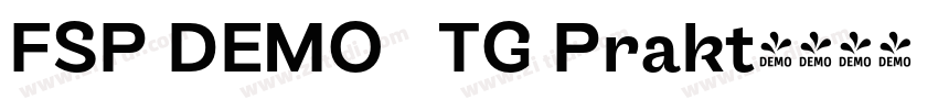 FSP DEMO   TG Prakt字体转换